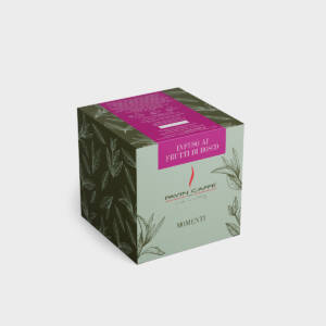 Ceai in plic Fructe de Padure (25 p)